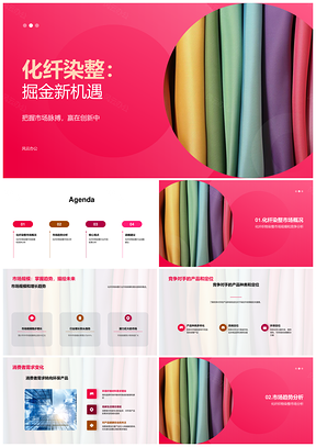 化纤染整行业规模增长环保产品需求带动机械升级PPT模板