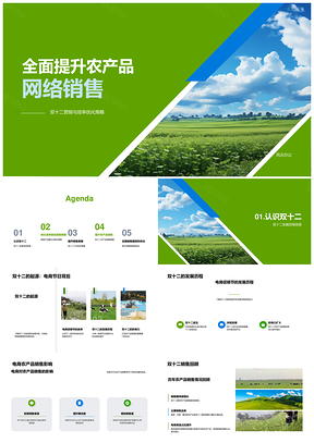 双十二农产品网络营销策略助力农田销量提升PPT模板