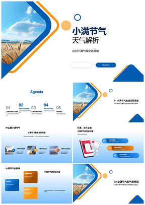 小满节气天气变化防暑降温雷电预防麦田PPT模板
