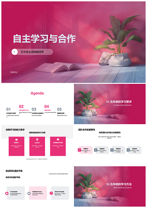 五年级自主合作挑战机遇平衡计划管理自理PPT模板