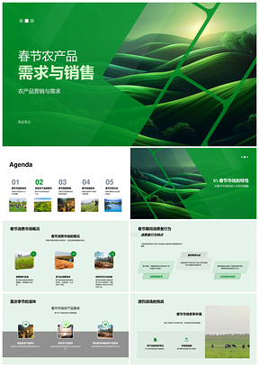 2026春节特色农产品高端化营销策略PPT模板