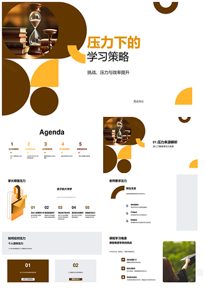 高考压力应对策略高效学习身心健康时间规划PPT模板