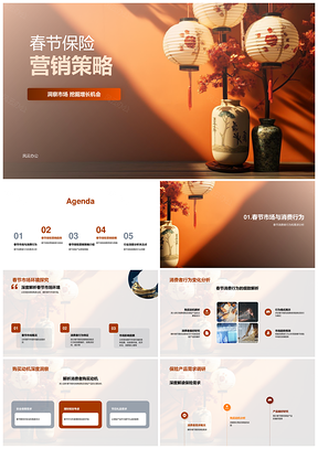 春节保险营销环境趋势消费动机产品需求偏好挑战PPT模板