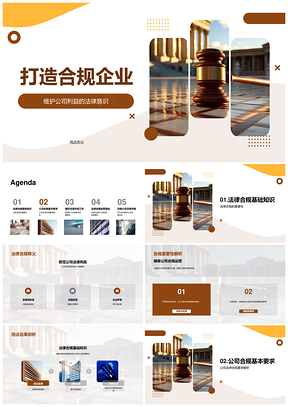 企业法务合规流程培训财务人力风险防范建设PPT模板