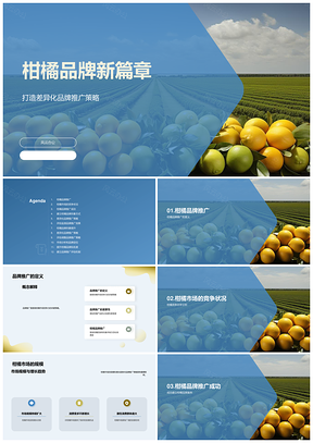 柑橘品牌推广战略解析竞品调研案例演讲PPT模板