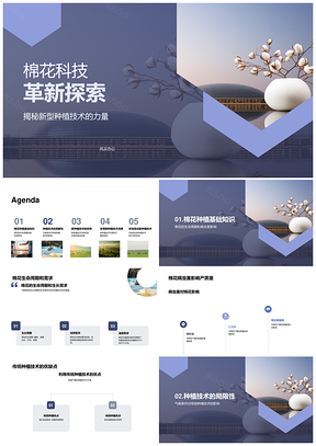 棉花技术革新提升产质优化周期抗病虫适气候PPT模板