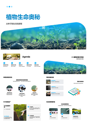 植物根茎叶花种子构造生态奥秘PPT模板