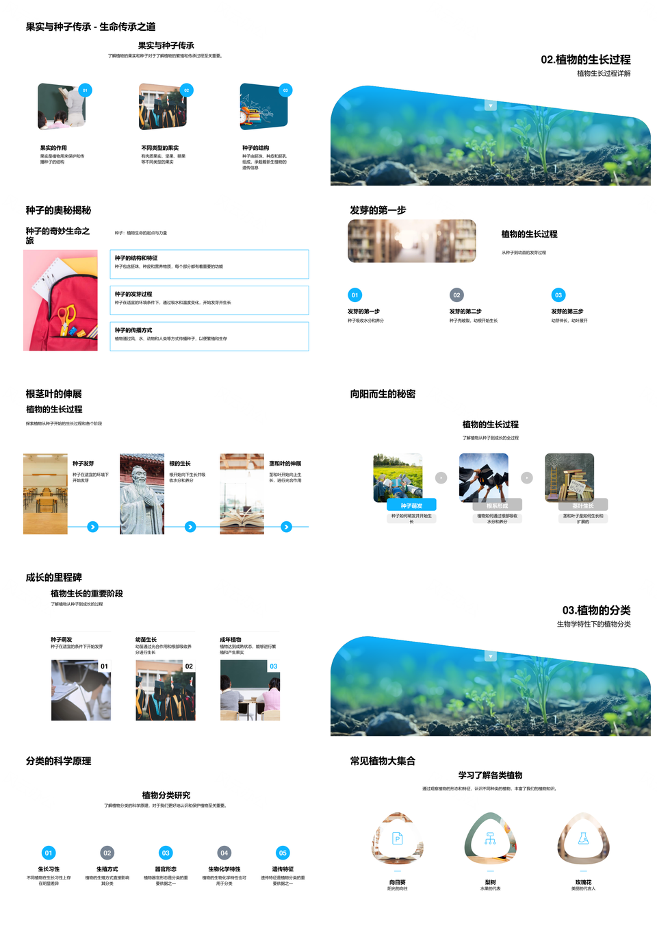 植物根茎叶花种子构造生态奥秘PPT模板