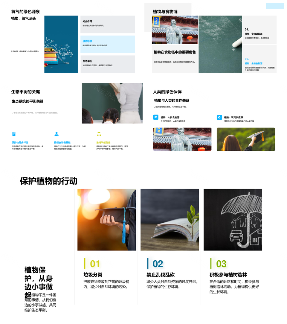 植物根茎叶花种子构造生态奥秘PPT模板