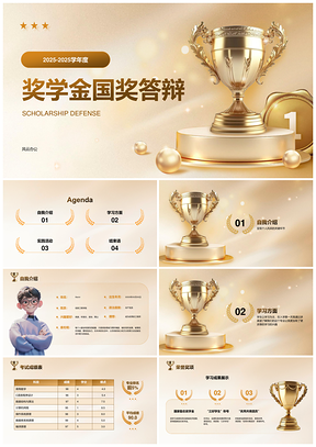 2025国奖答辩策略技巧演讲面试成功案例展示PPT模板