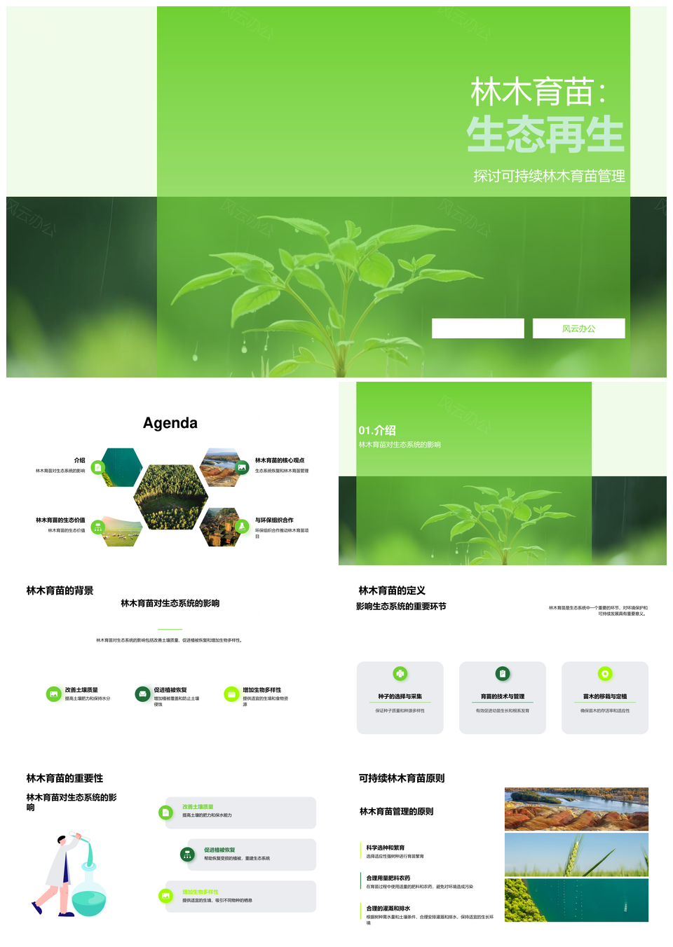 林木育苗助力生态恢复可持续发展PPT模板