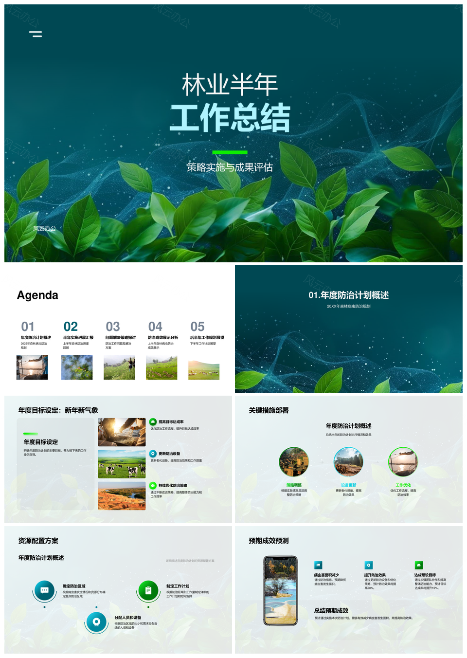 2025林业半年病虫防治策略实施成果评估总结PPT模板