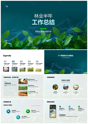 2025林业半年病虫防治策略实施成果评估总结PPT模板