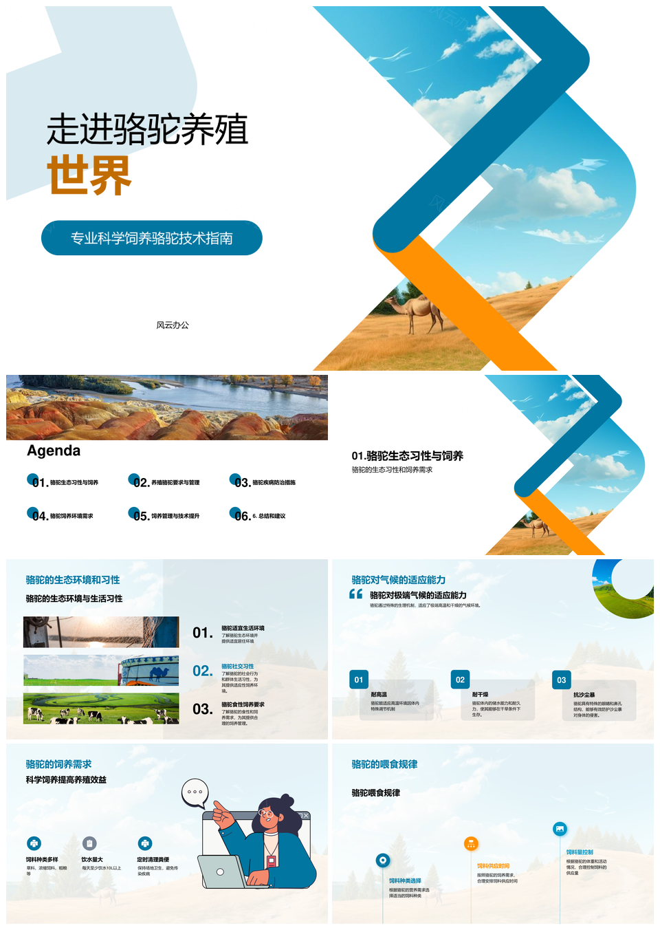 骆驼养殖技术兽医专家分享指导农牧户PPT模板