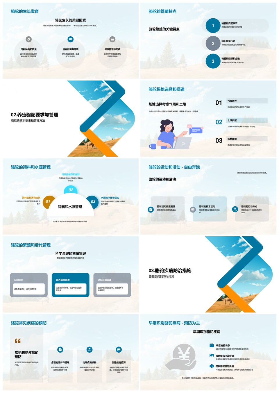 骆驼养殖技术兽医专家分享指导农牧户PPT模板