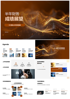 半年财务成绩及利润率变动分析PPT模板