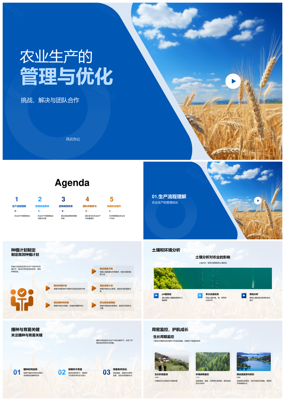 麦田生产管理优化与高效协作配置适需流程PPT模板