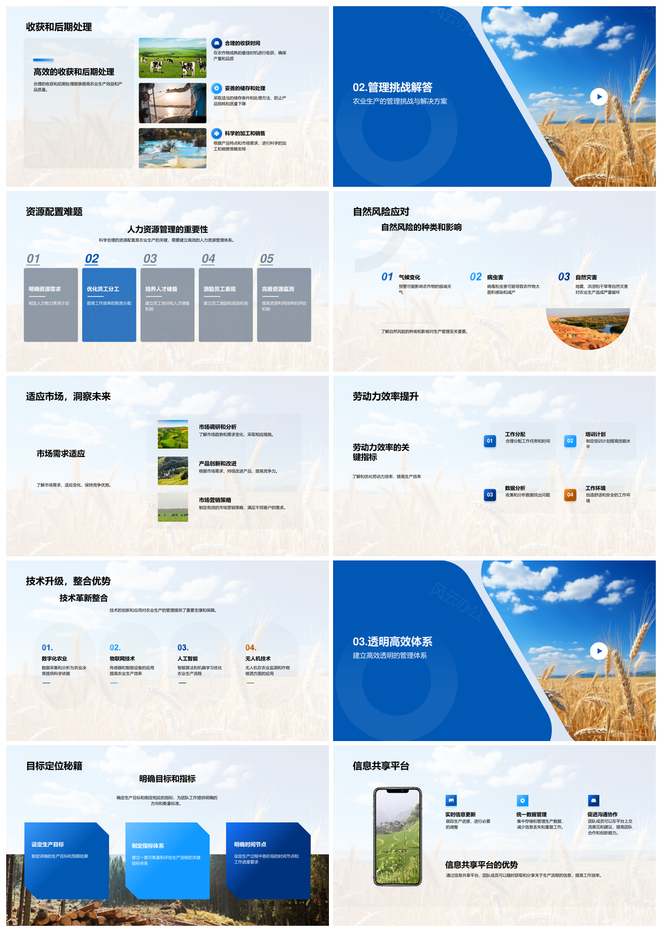 麦田生产管理优化与高效协作配置适需流程PPT模板