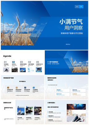 小满用户画像与节日营销大数据分析PPT模板