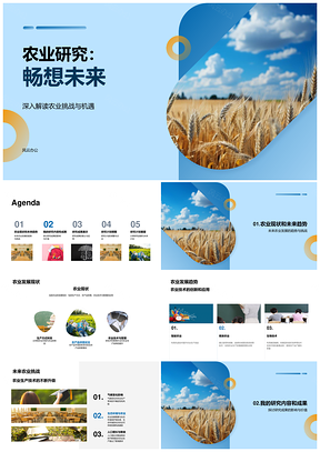 农业研究现状趋势挑战与麦田研究PPT模板