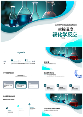 师生探温度计控反应速率PPT课件