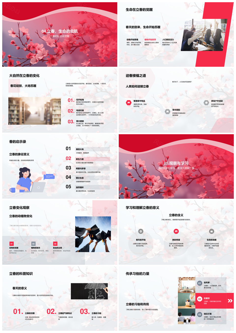 立春生命觉醒万物绽春华PPT模板