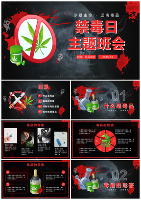 禁毒日主题班会宣传PPT模板