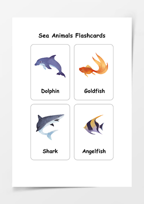 海洋生物抽认卡