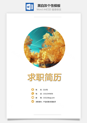 通用简历黑白灰个性Word模板