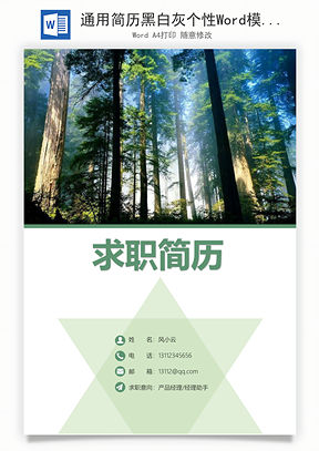 通用简历黑白灰个性Word模板
