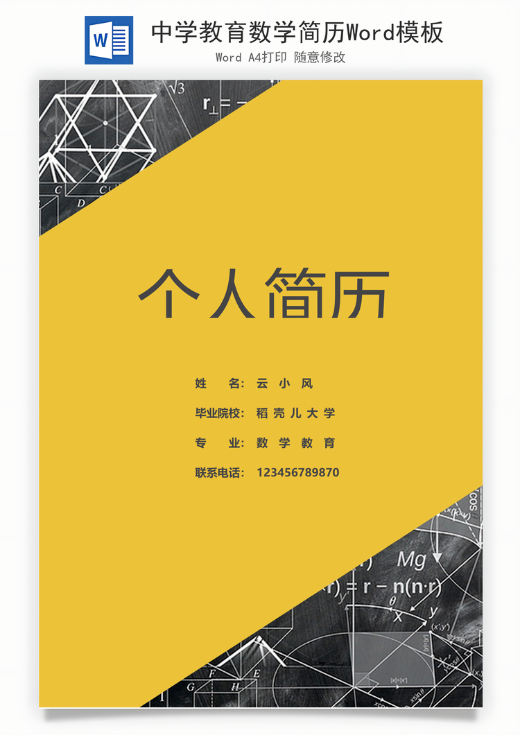 中学教育数学简历Word模板