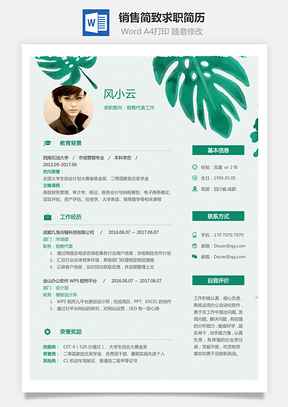 销售简历简致求职简历Word模板