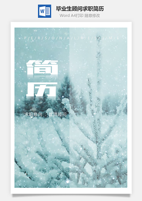 应届毕业生唯美雪景管理顾问个人求职简历Word模板