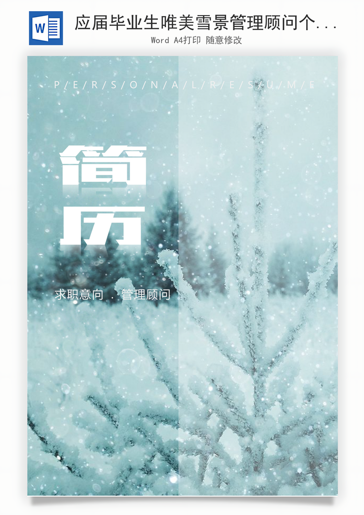 应届毕业生唯美雪景管理顾问个人求职简历Word模板