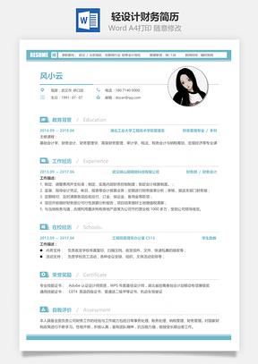 輕設(shè)計求職財務(wù)簡歷2