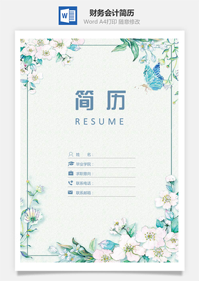 小清新財務會計簡歷