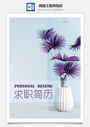 毕业生清新花瓶网络工程师求职简历Word模板