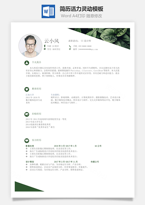 单页简历活力灵动Word模板