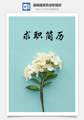 简约版高级程序员求职简历含自荐信与封面Word模板