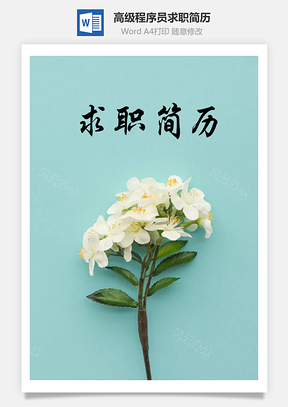 簡(jiǎn)約版高級(jí)程序員求職簡(jiǎn)歷（含自薦信與封面）