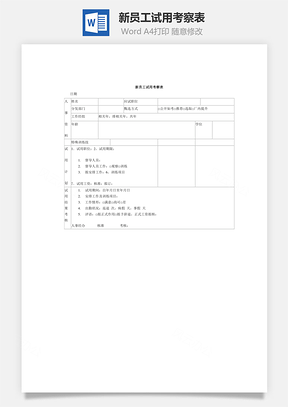 新员工试用考察表word文档