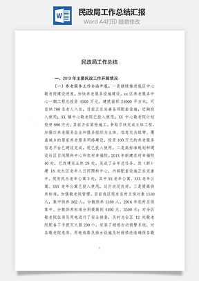 民政局工作总结汇报word文档