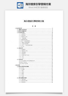 海尔搜索引擎营销方案Word模板