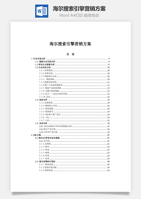 海爾搜索引擎營銷方案word文檔