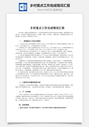 乡村重点工作完成情况汇报word文档