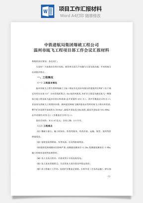 项目工作汇报材料word文档