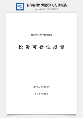 彩印有限公司投资可行性报告word文档