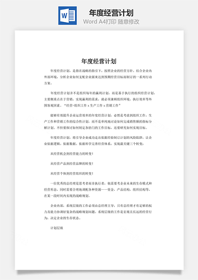 年度经营计划word文档