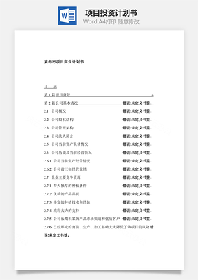 项目投资计划书Word模板
