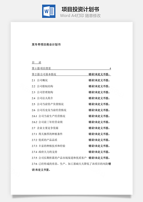 项目投资计划书word文档